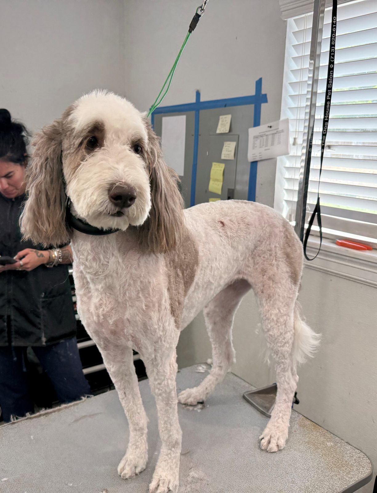 D00Dle_Grooming_Memorial