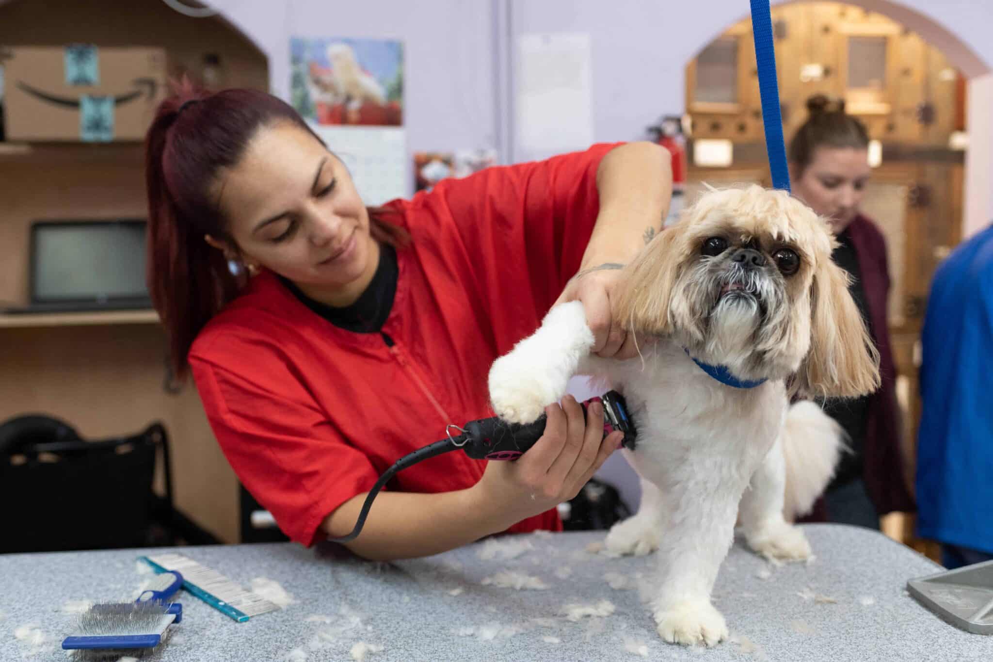 Pet Grooming Atlanta Tx mcgoks