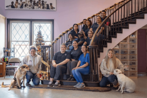 Going on Vacation Find the Perfect Home Away from Home for Your Pup with These Top Dog Trainers and Boarding