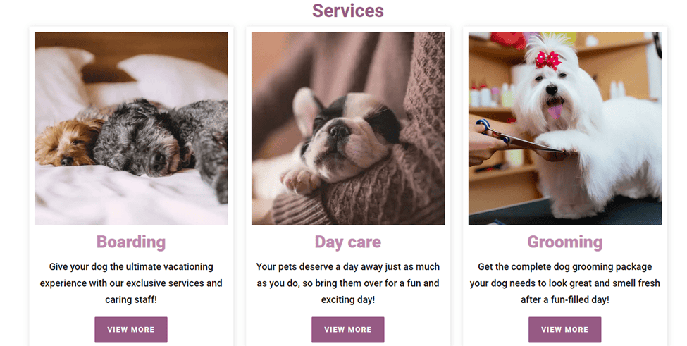 spa for dogs