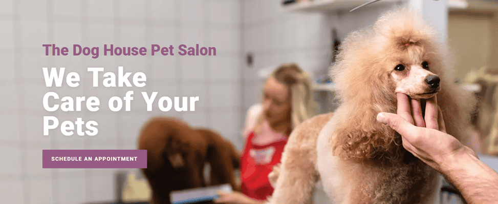 Finding an affordable dog hotel in Houston