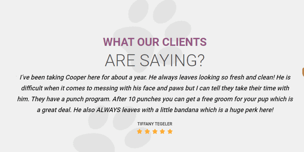 Our Comprehensive Dog Grooming program Services