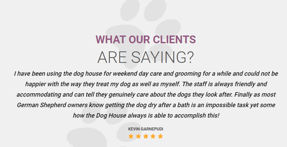 Benefits of Dog Grooming program in Houston