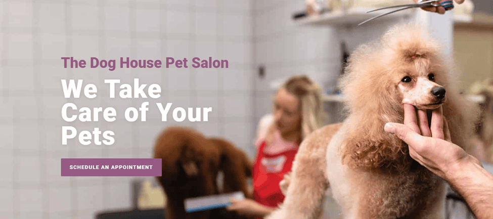 daycare for dog grooming service in Houston