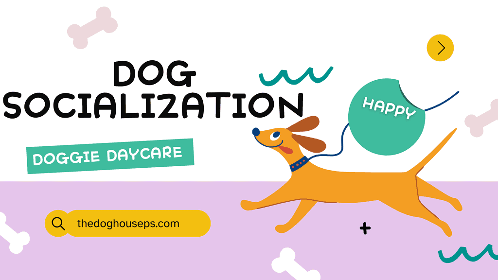 dog socialization