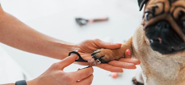 Safety and Injury Prevention Through Nail Care