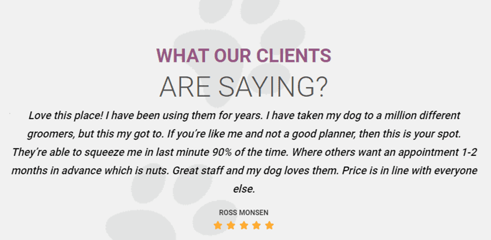 Going on Vacation? Find the Perfect Home Away from Home for Your Pup with These Top Dog Trainers and Boarding
