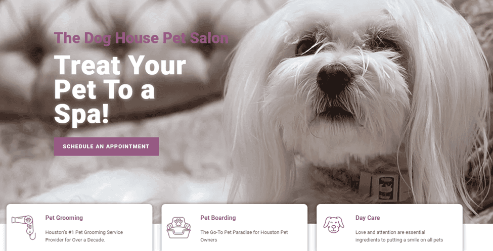 Dog Daycare for Unneutered Dogs: Everything You Need to Know