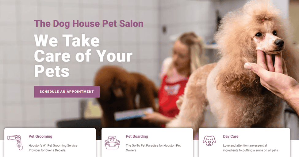 Dog Daycare for Unneutered Dogs: Everything You Need to Know