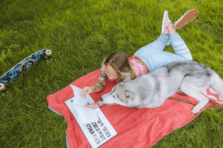 Best Pet Boarding Options for Your Furry Friend