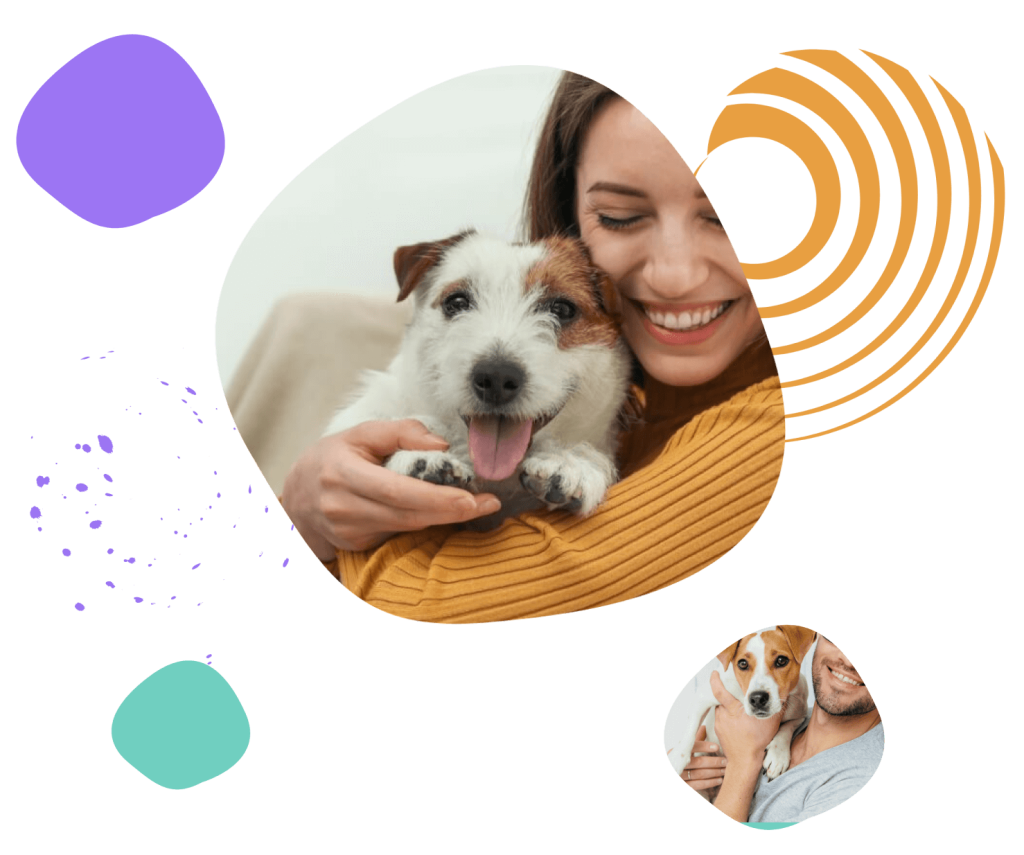 loving dog