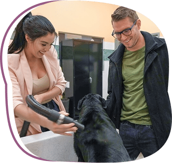 pet evaluation