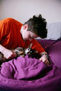 Everyone Needs Companionship Dog Grooming Houston