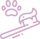 teeth brush