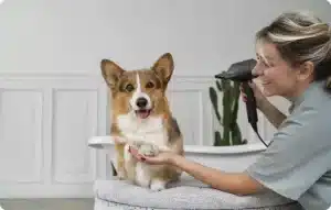 washing pet dog home.jpg