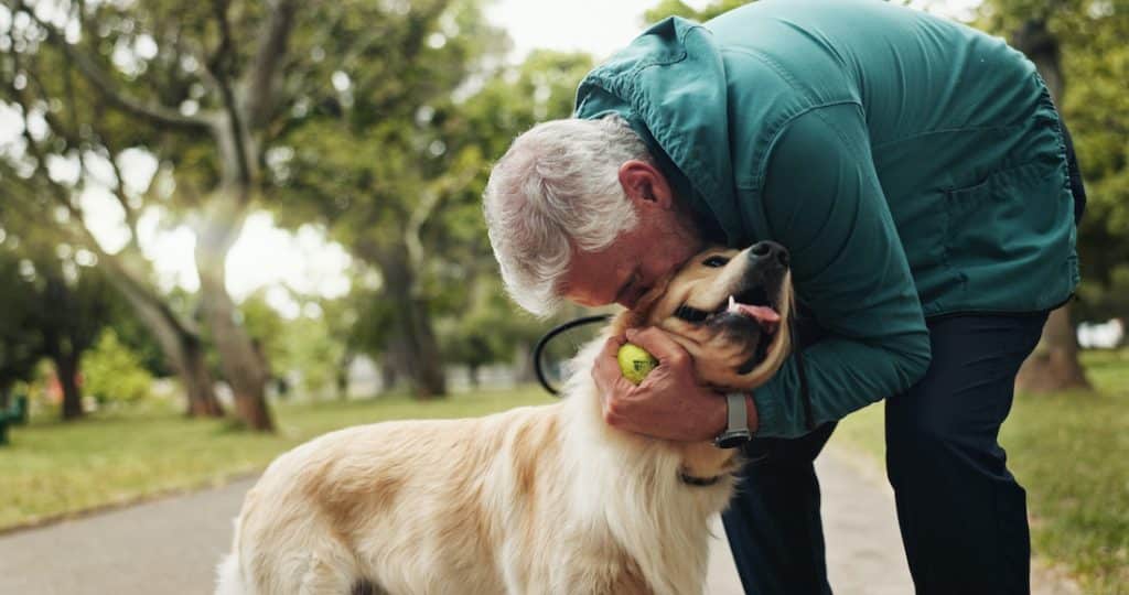 spa-style dog that gets groomed at The Dog House located in Memorial Park